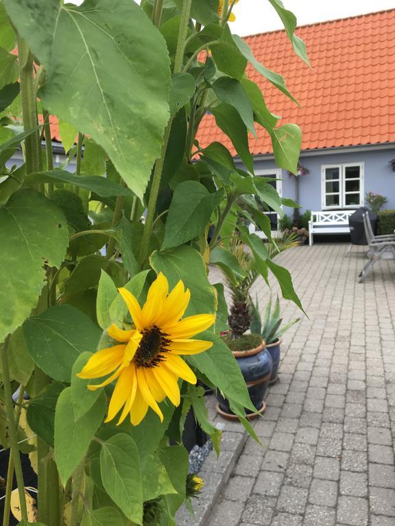Apartmán Ebeltoft Centrum Exteriér fotografie